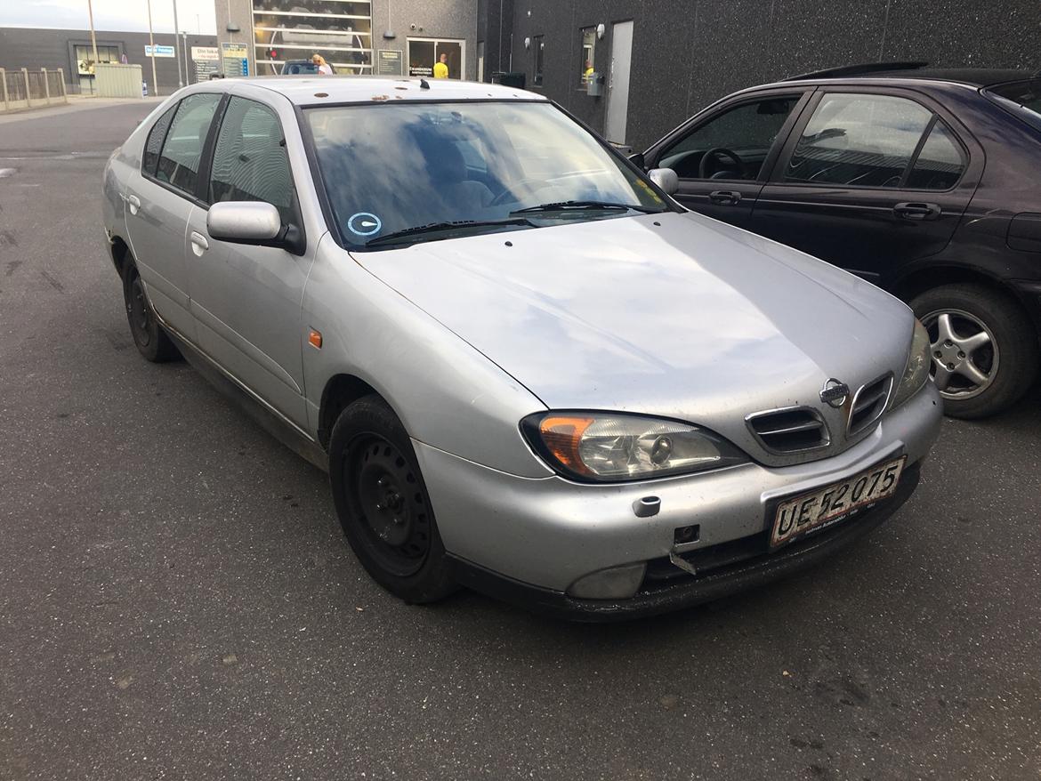 Nissan Primera billede 4