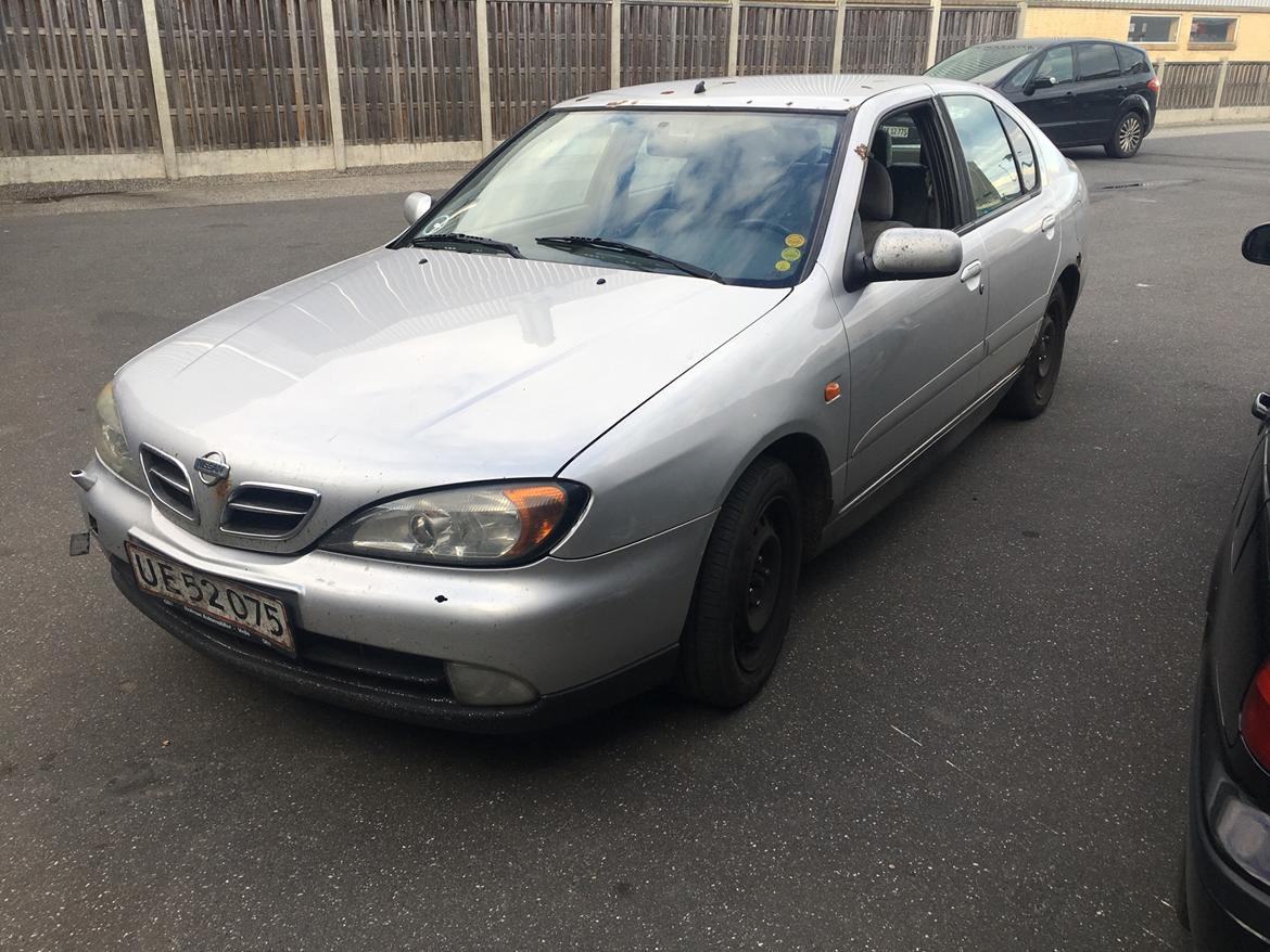 Nissan Primera billede 3