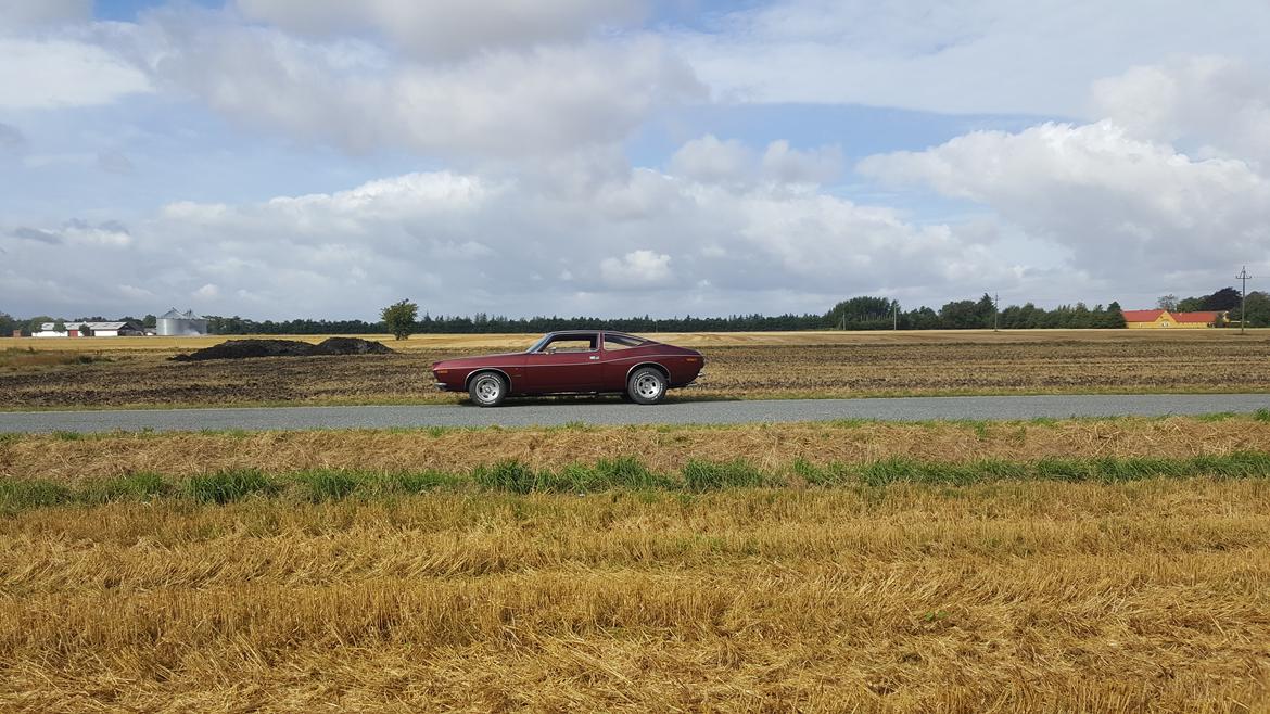 AMC Matador Coupé  billede 12