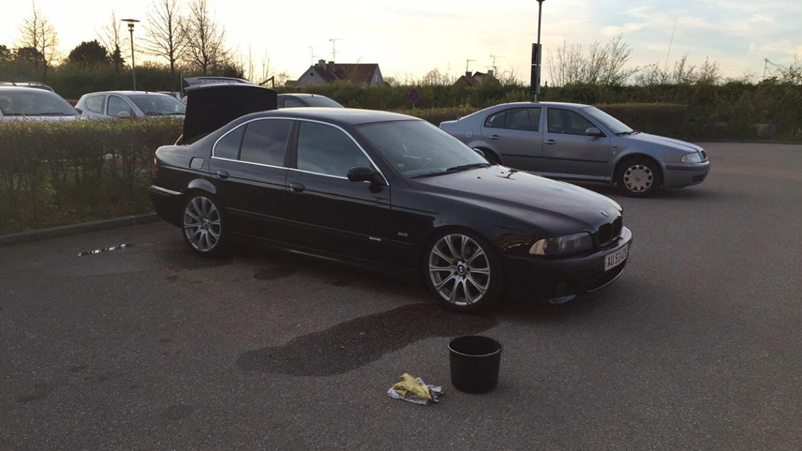 BMW E39 - 523 (530) - Række 6 billede 3