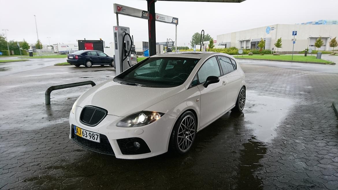 Seat leon cupra billede 1