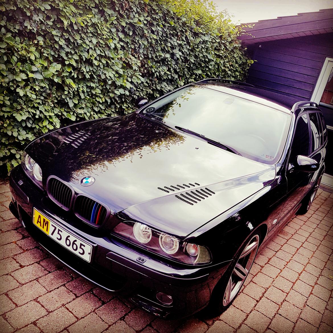 BMW E39 530d Touring billede 2