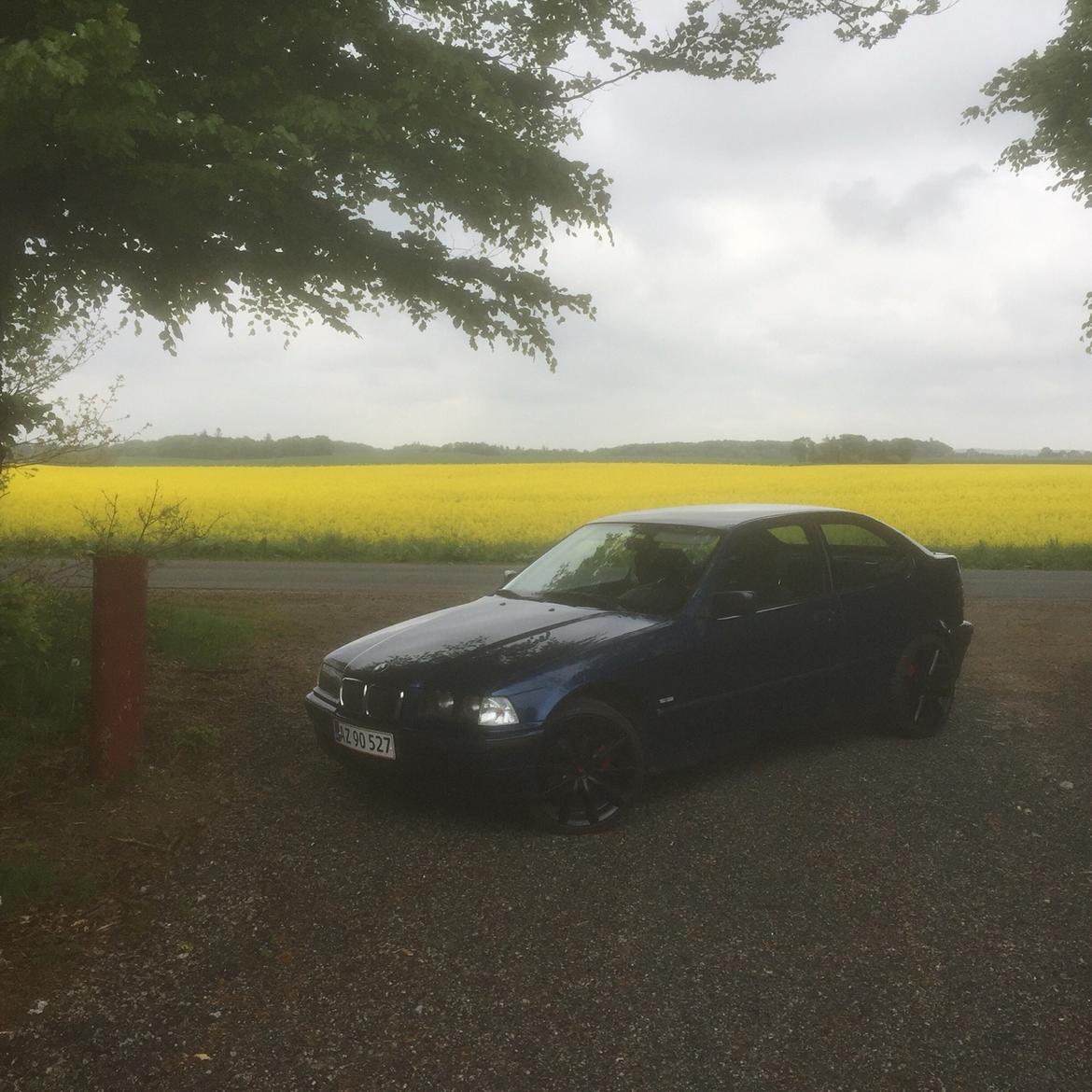 BMW E36 compact billede 9