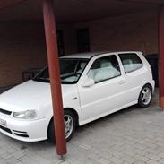 VW 6n