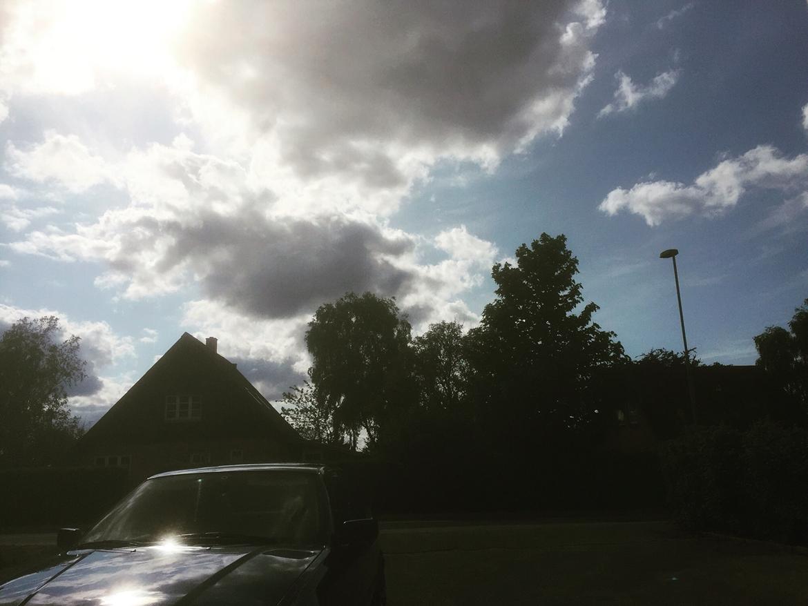 BMW E36 compact billede 31