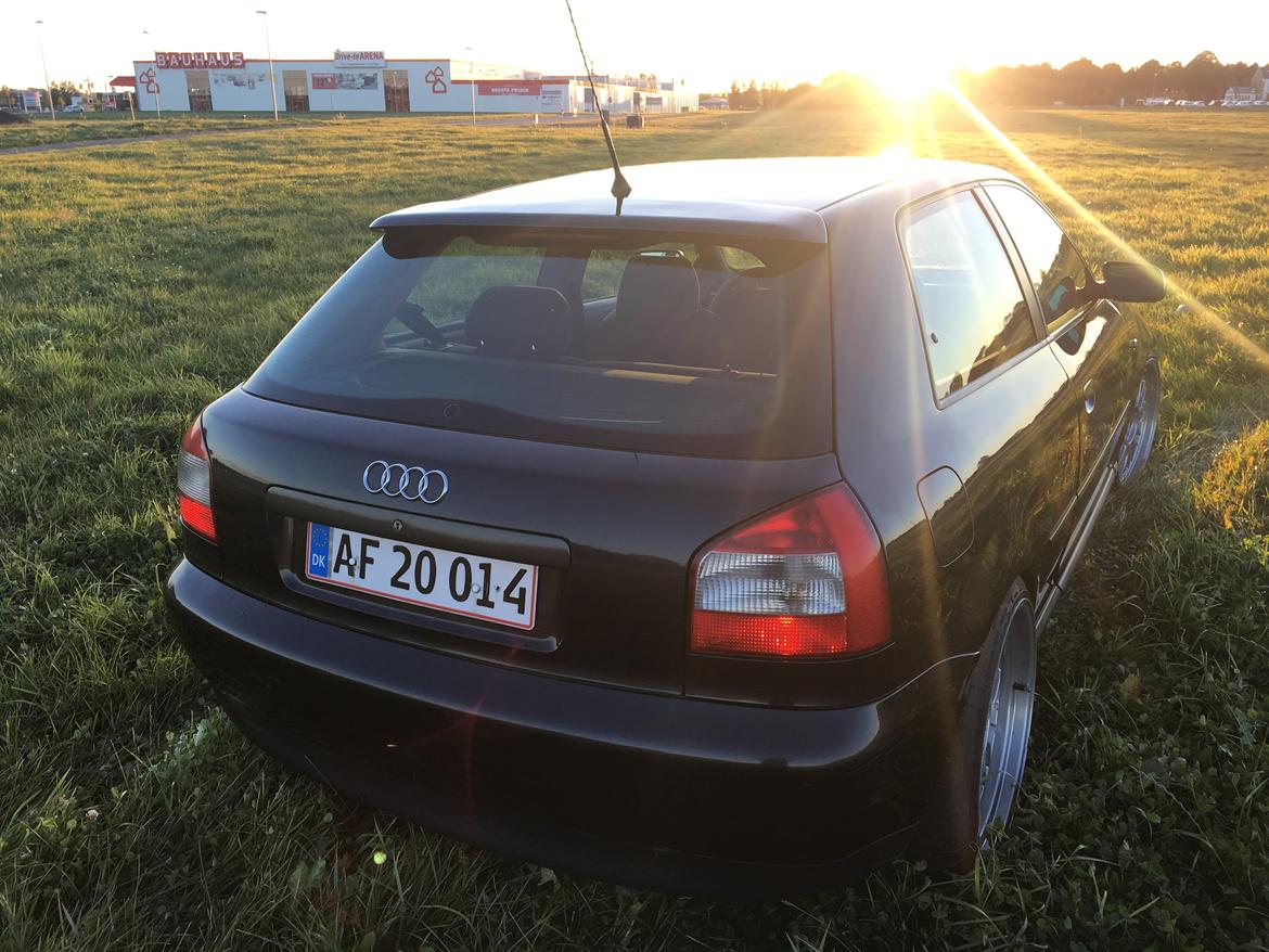 Audi A3 8L TDI billede 9