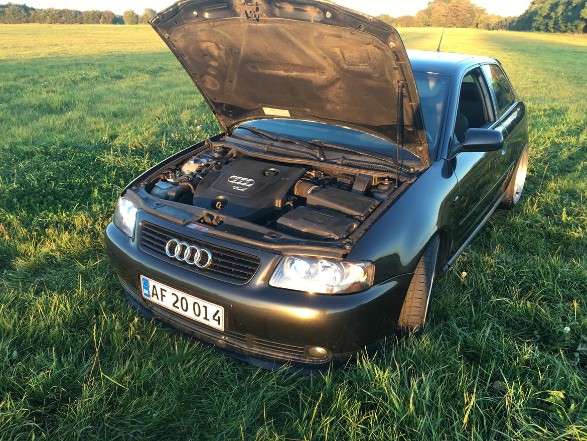 Audi A3 8L TDI billede 15