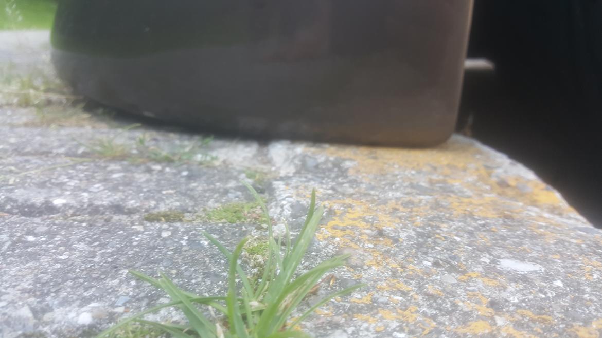 BMW E36  cap. 325i ombygget til e46 front billede 4