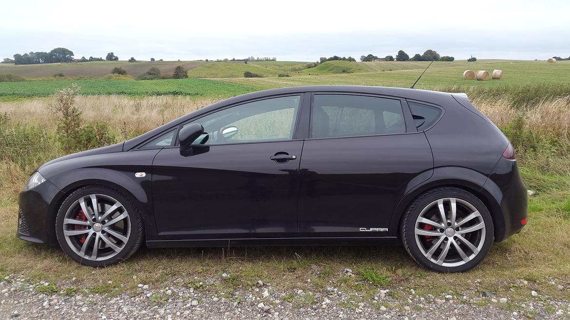 Seat Leon Cupra  billede 17