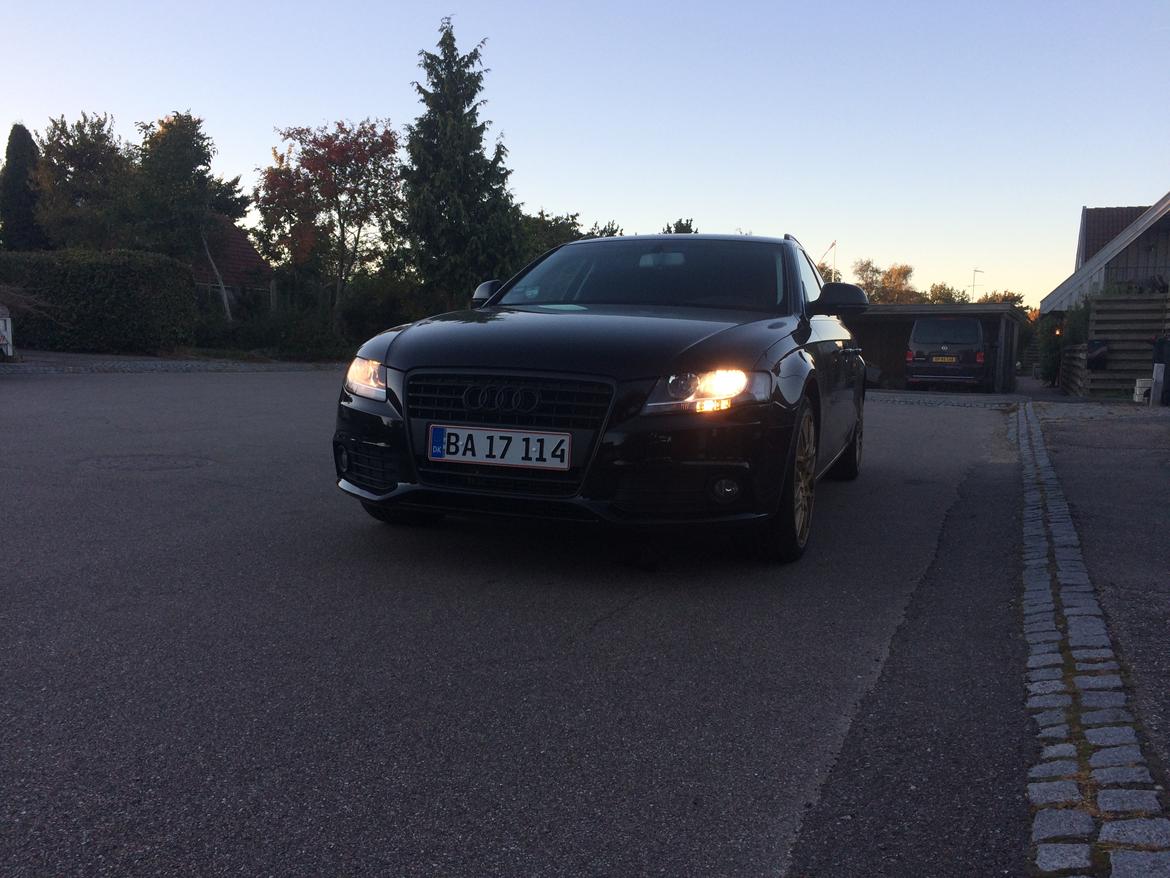 Audi A4 B8  billede 2