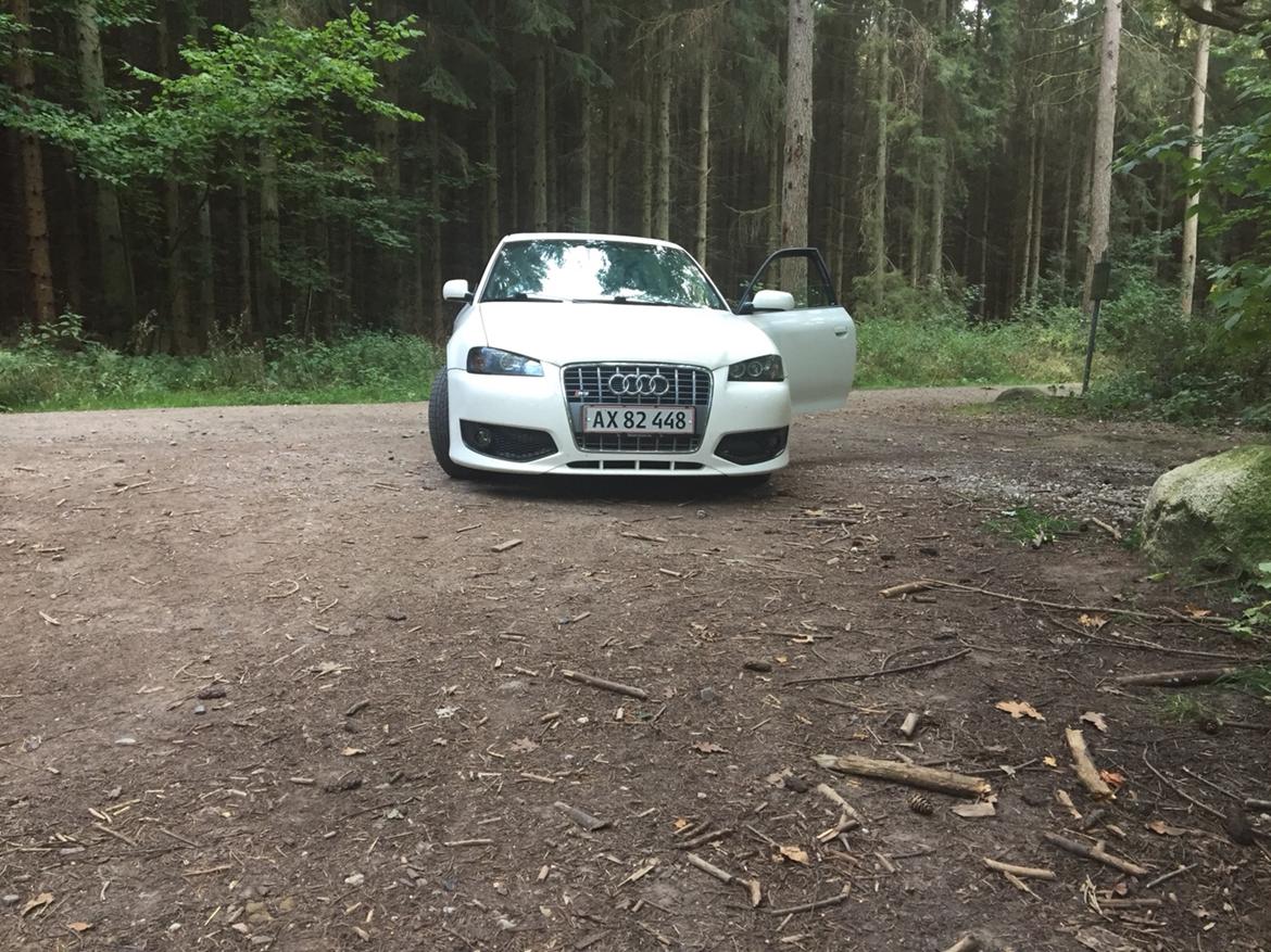 Audi A3 1.8t s3 look solgt billede 4