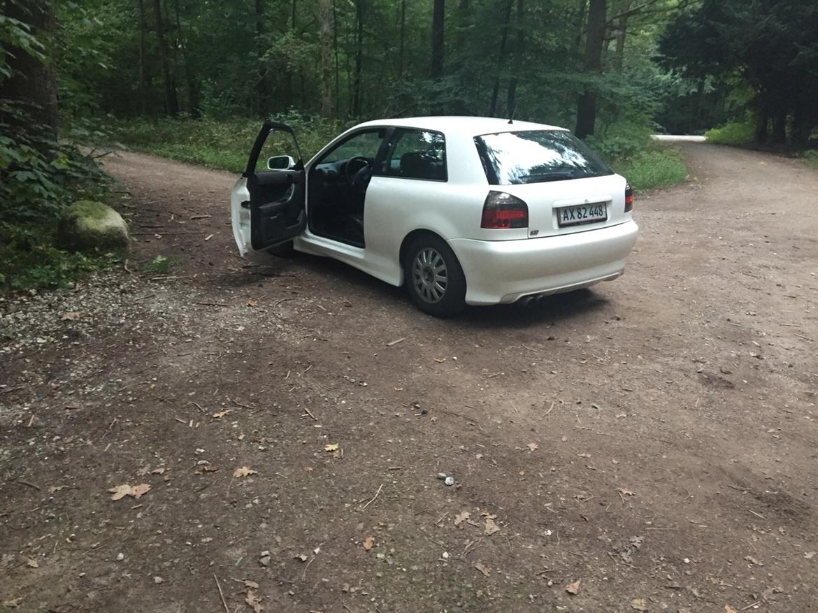 Audi A3 1.8t s3 look solgt billede 5