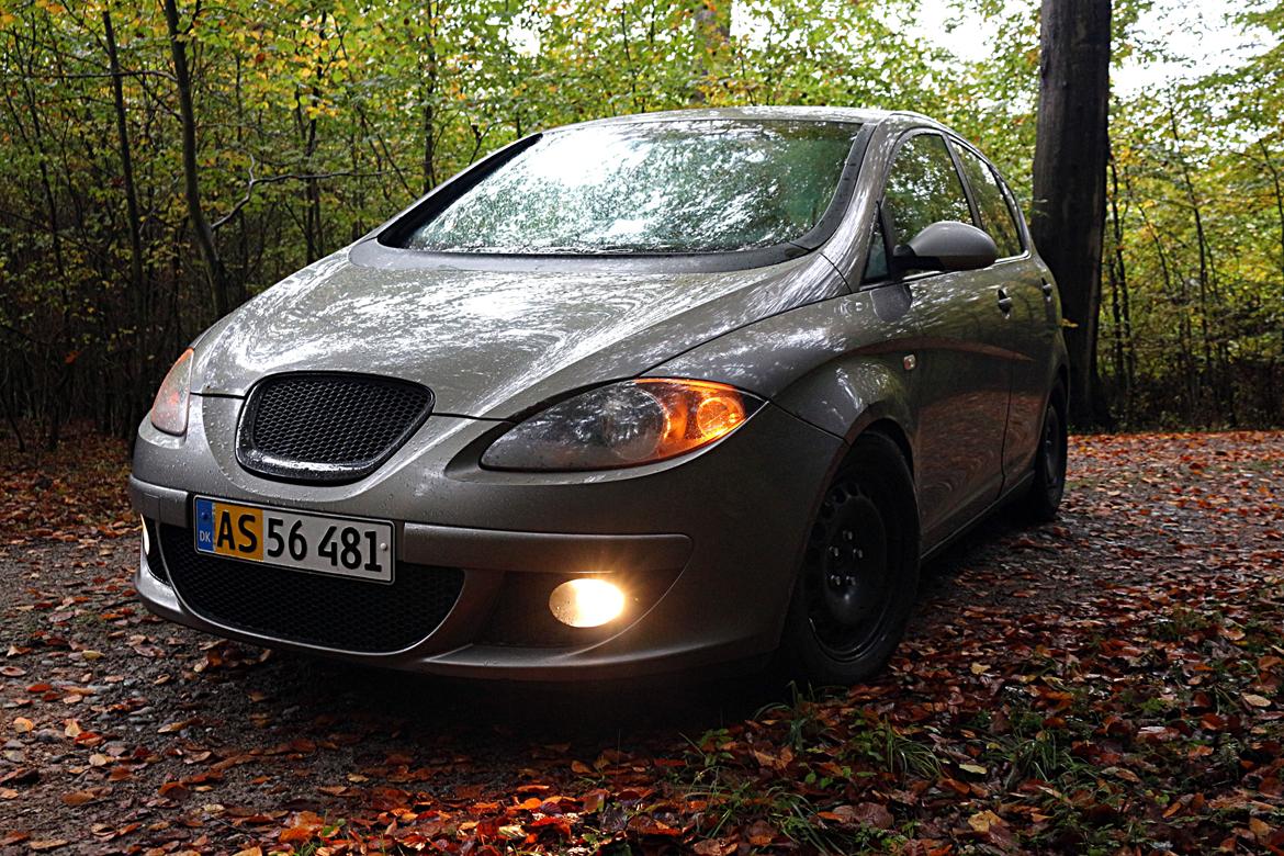 Seat Altea billede 5