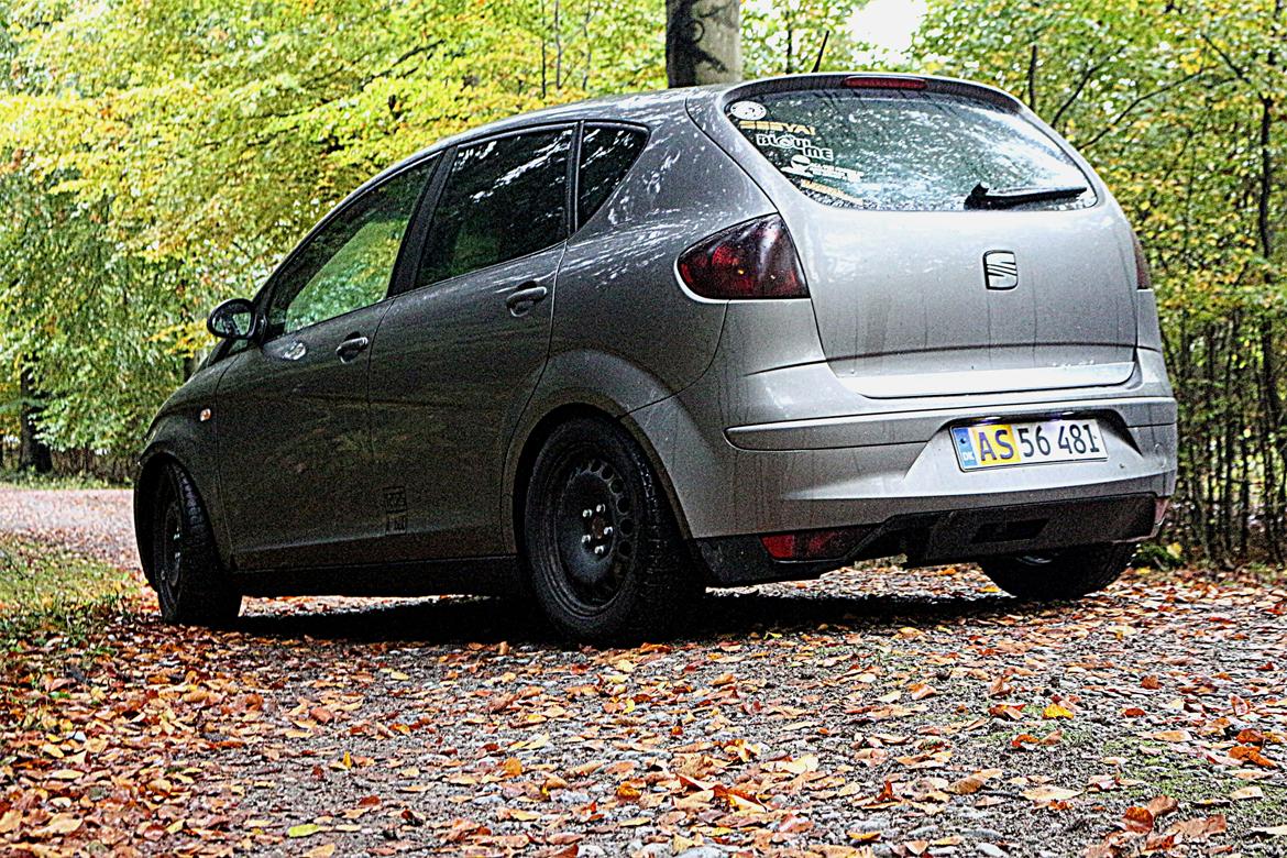 Seat Altea billede 9