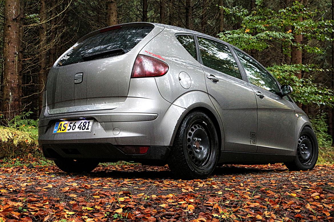 Seat Altea billede 10