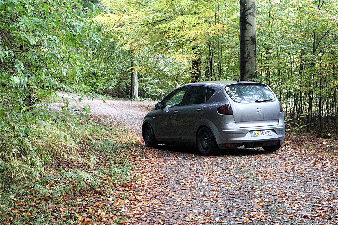 Seat Altea billede 8