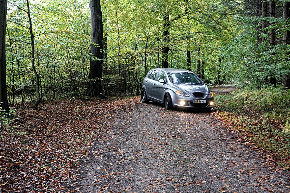 Seat Altea billede 7