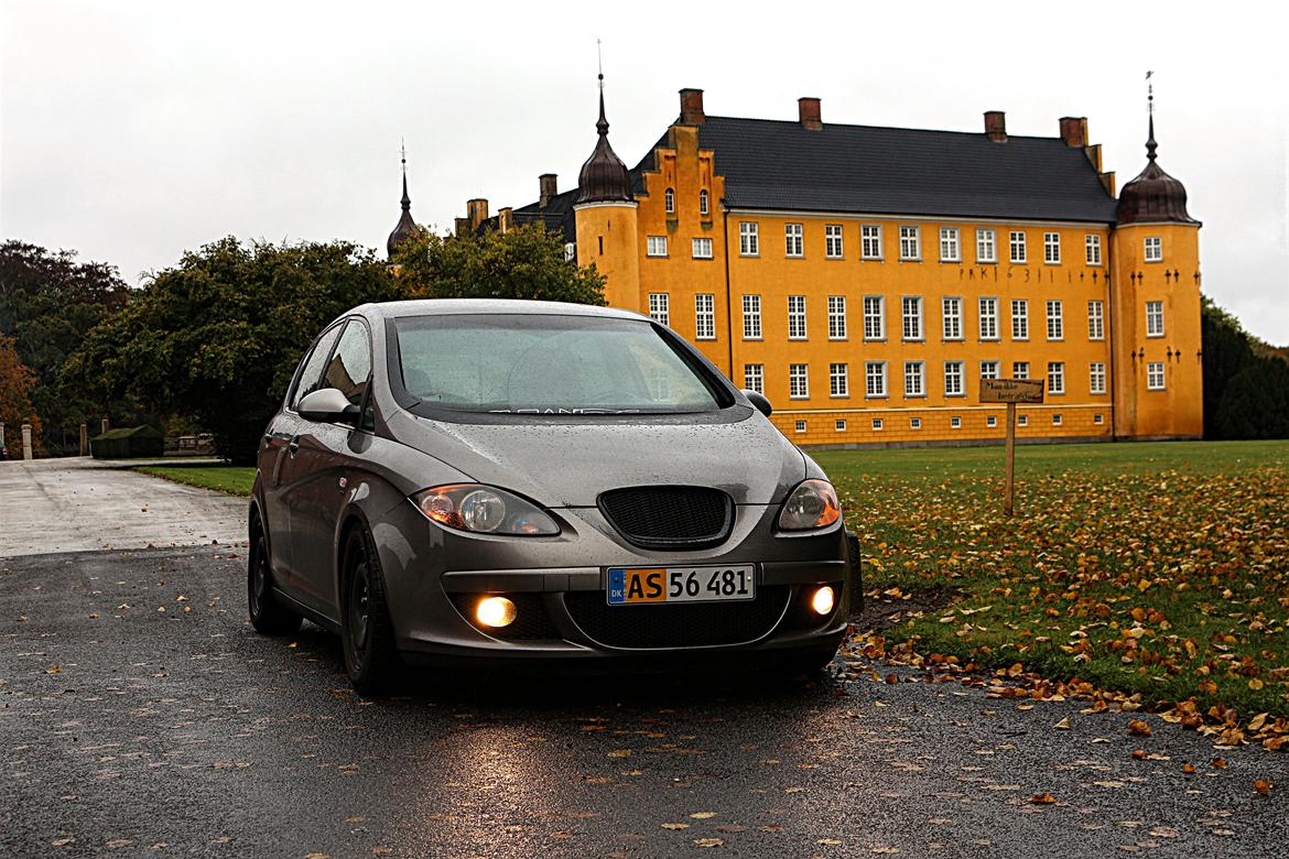 Seat Altea billede 1