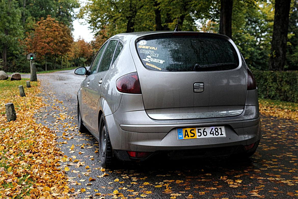 Seat Altea billede 11