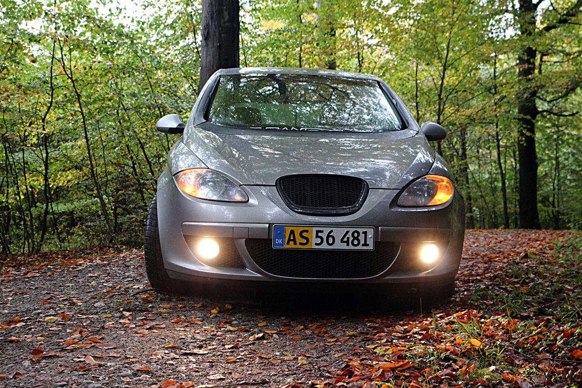 Seat Altea billede 6