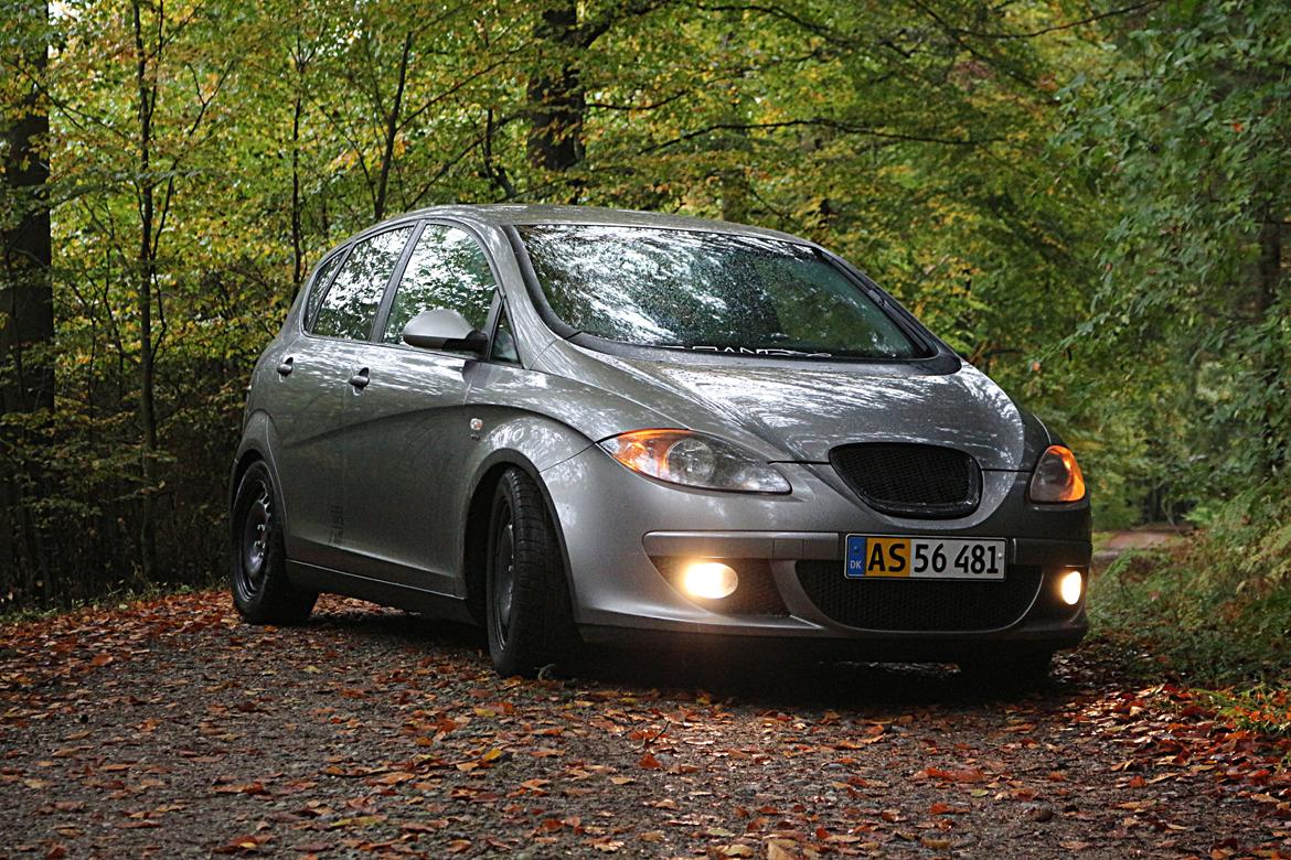 Seat Altea billede 4