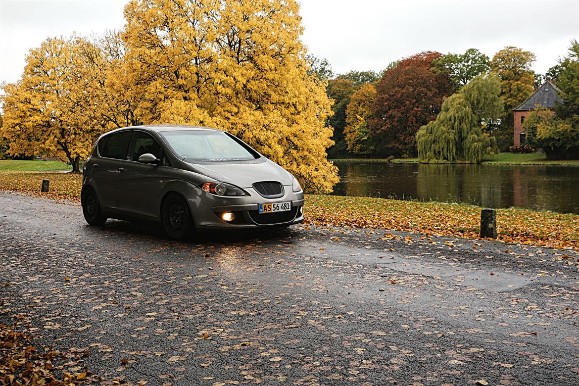 Seat Altea billede 2