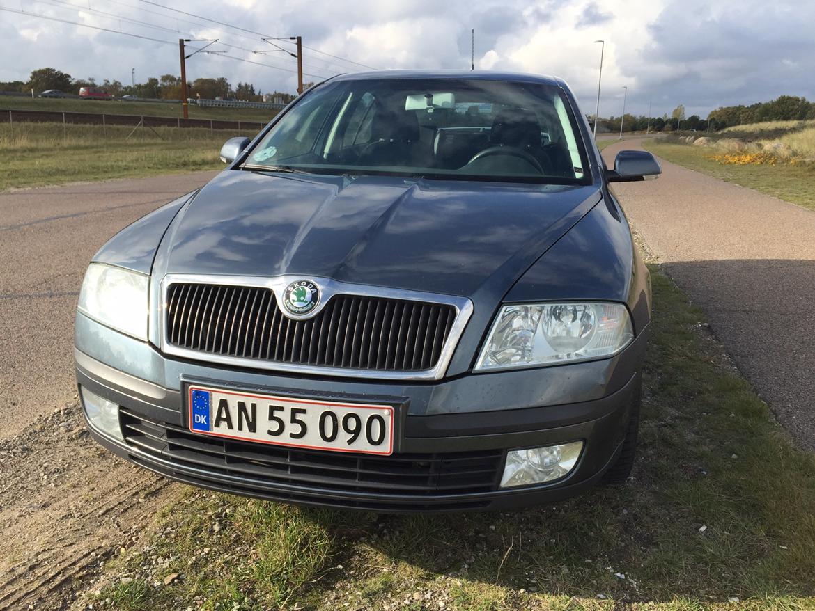 Skoda Octavia mk2 1.9tdi  billede 1