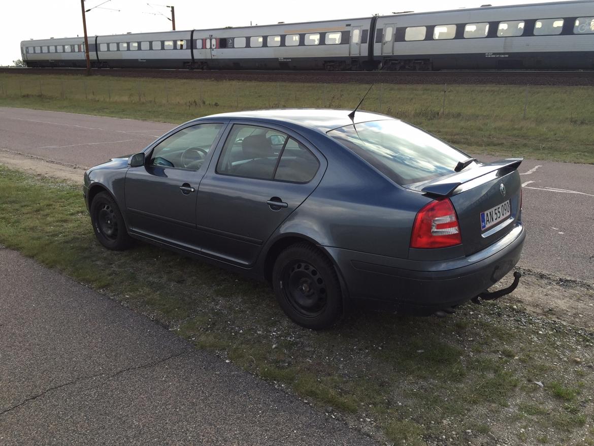 Skoda Octavia mk2 1.9tdi  billede 2