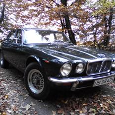 Jaguar XJ 6 L ( Lang model med extra benplads )