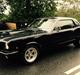 Ford Mustang HT 302 5.0 V8