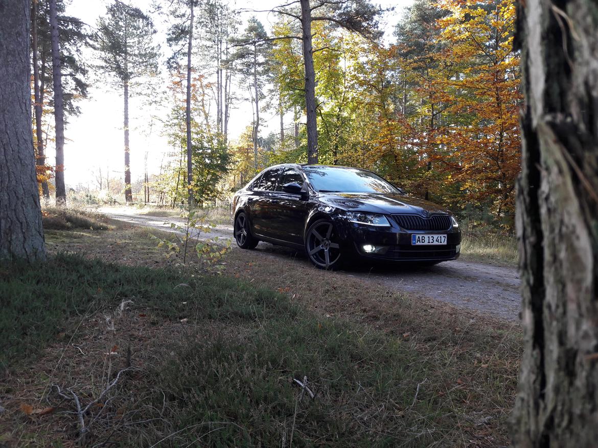 Skoda Octavia DSG billede 1