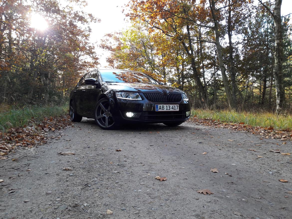 Skoda Octavia DSG billede 2