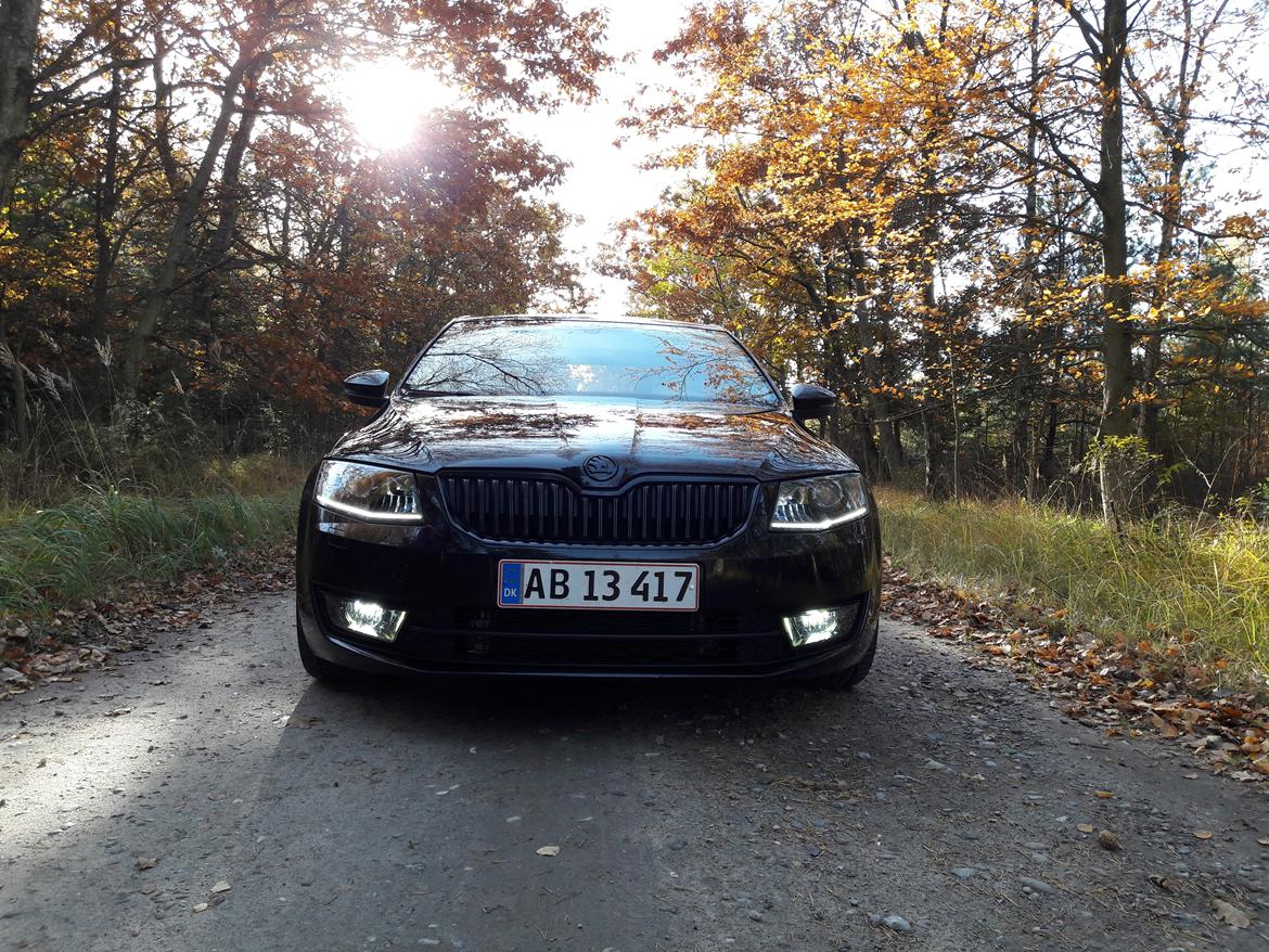 Skoda Octavia DSG billede 6