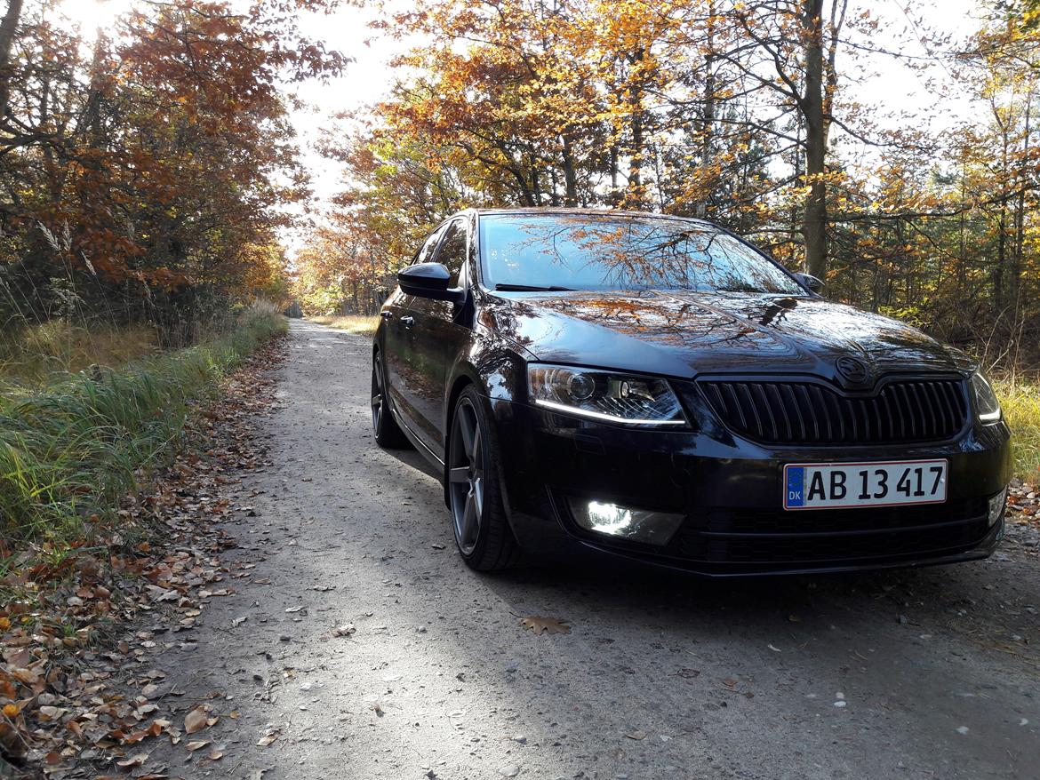 Skoda Octavia DSG billede 7