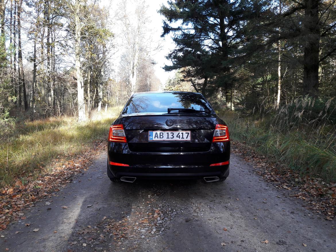 Skoda Octavia DSG billede 9