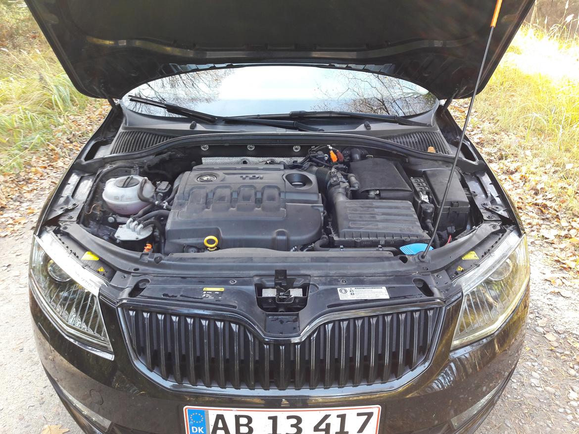 Skoda Octavia DSG billede 15