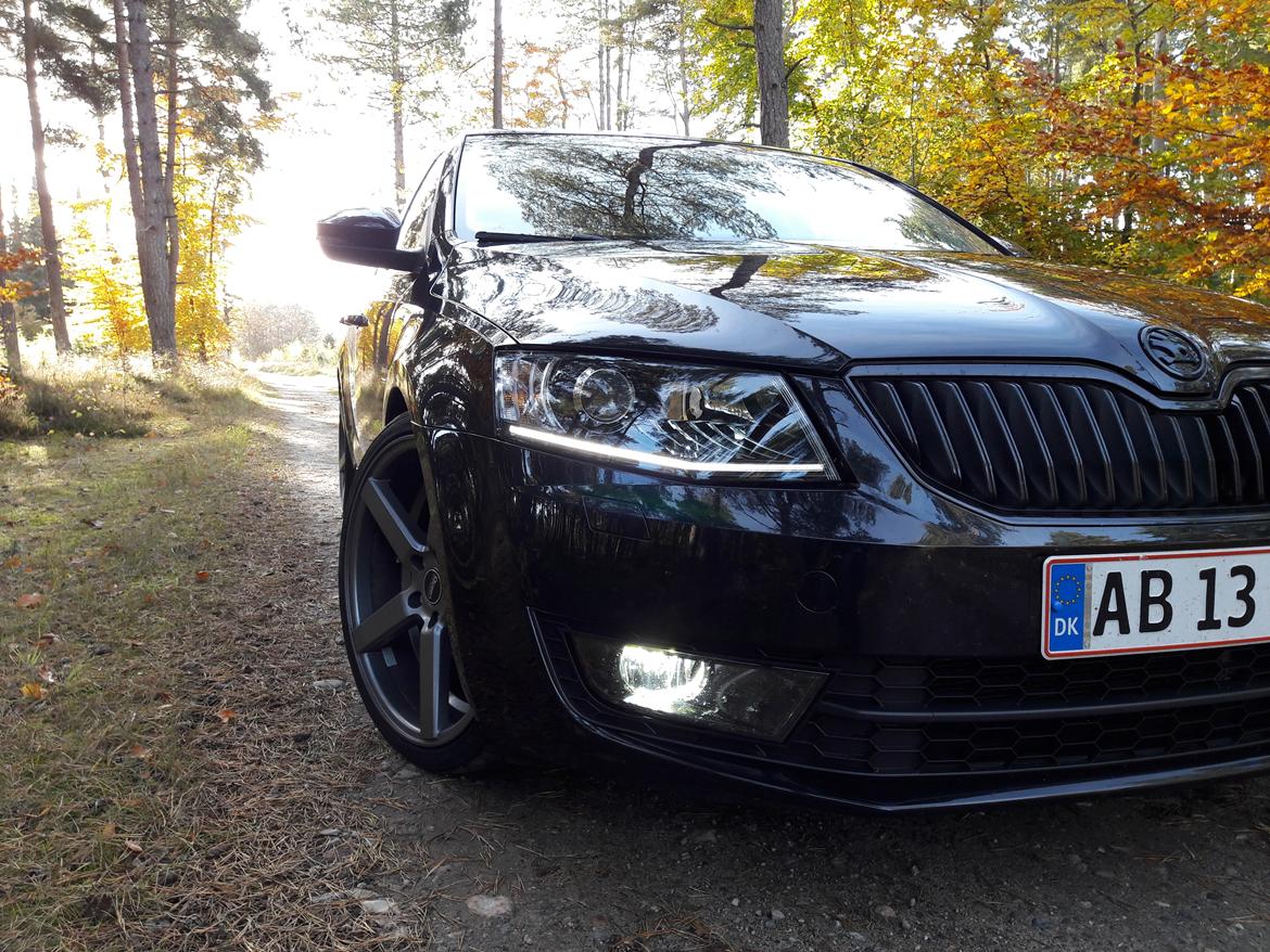 Skoda Octavia DSG billede 11