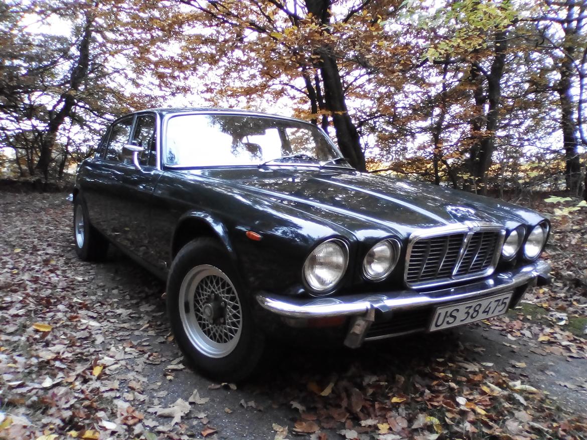 Jaguar XJ 6 L ( Lang model med extra benplads ) billede 3