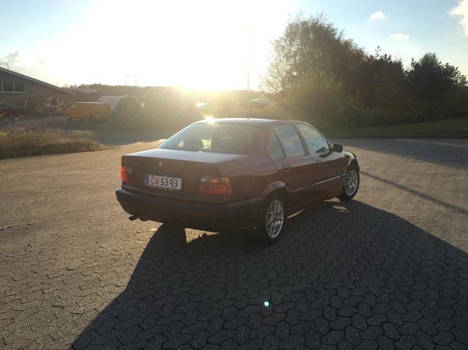 BMW E36 316i  billede 4