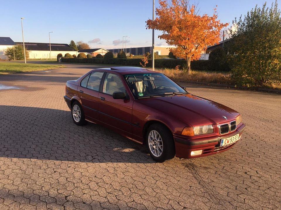 BMW E36 316i  billede 5