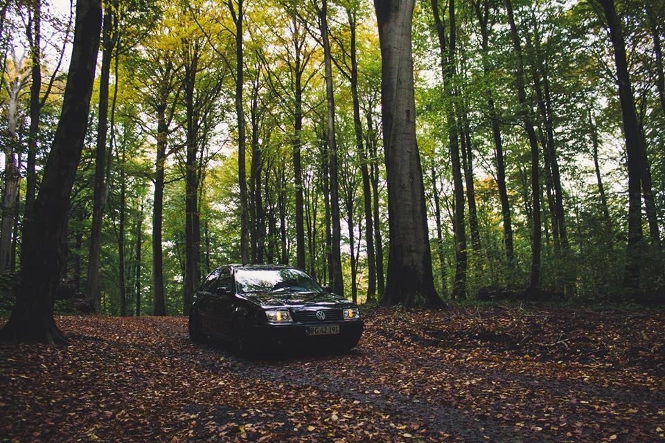 VW Bora 1.8 T  billede 8