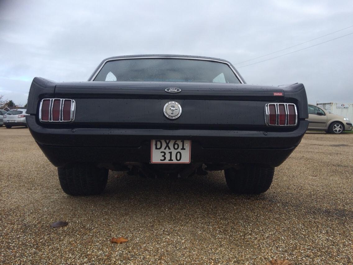 Ford Mustang HT 302 5.0 V8 billede 14