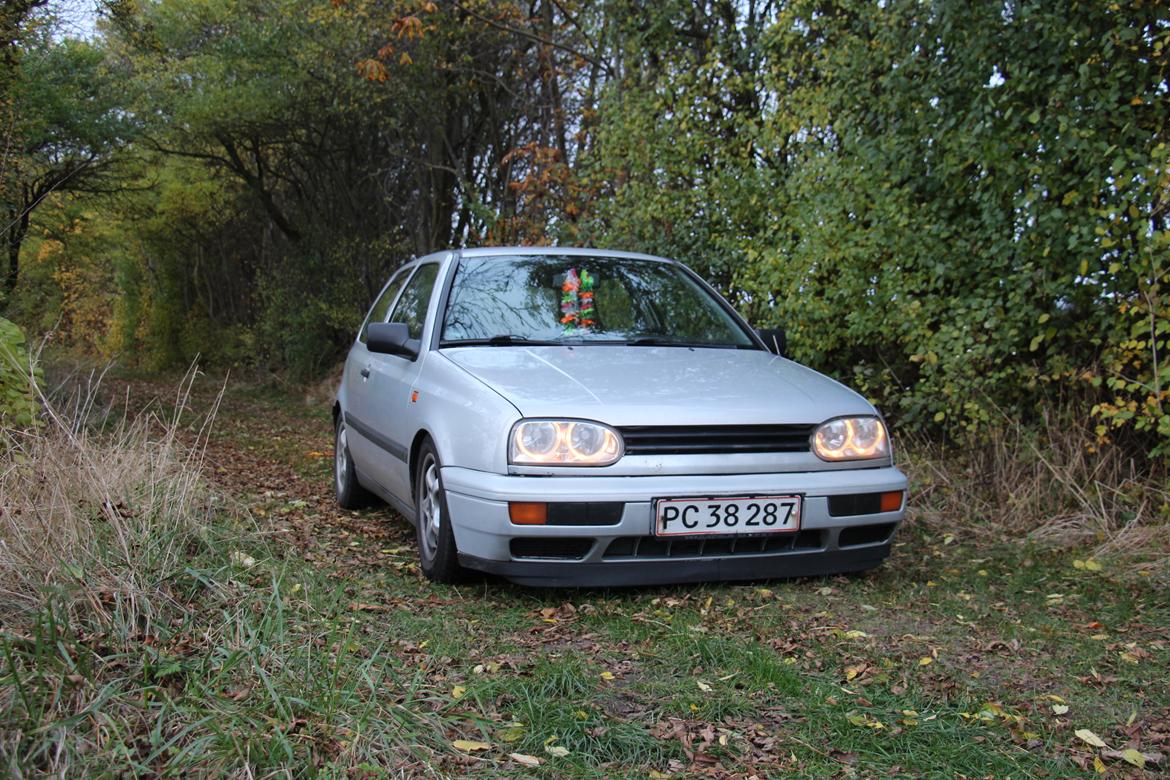 VW Golf 3 (SOLGT) billede 4