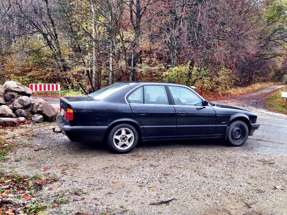 BMW E34 518i billede 7