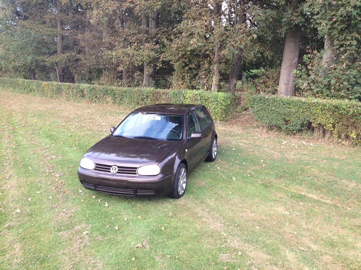 VW Golf 4 1,9 TDI ( Solgt )  billede 3