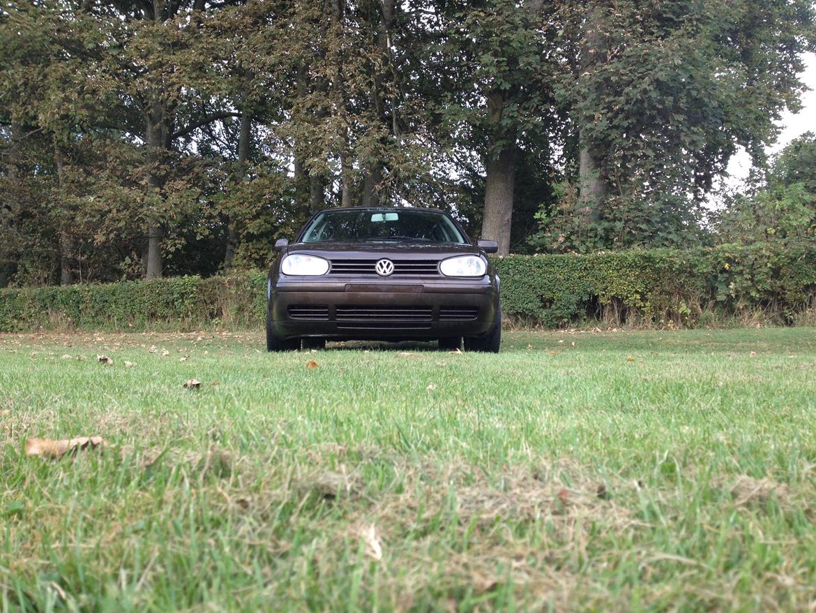 VW Golf 4 1,9 TDI ( Solgt )  billede 5