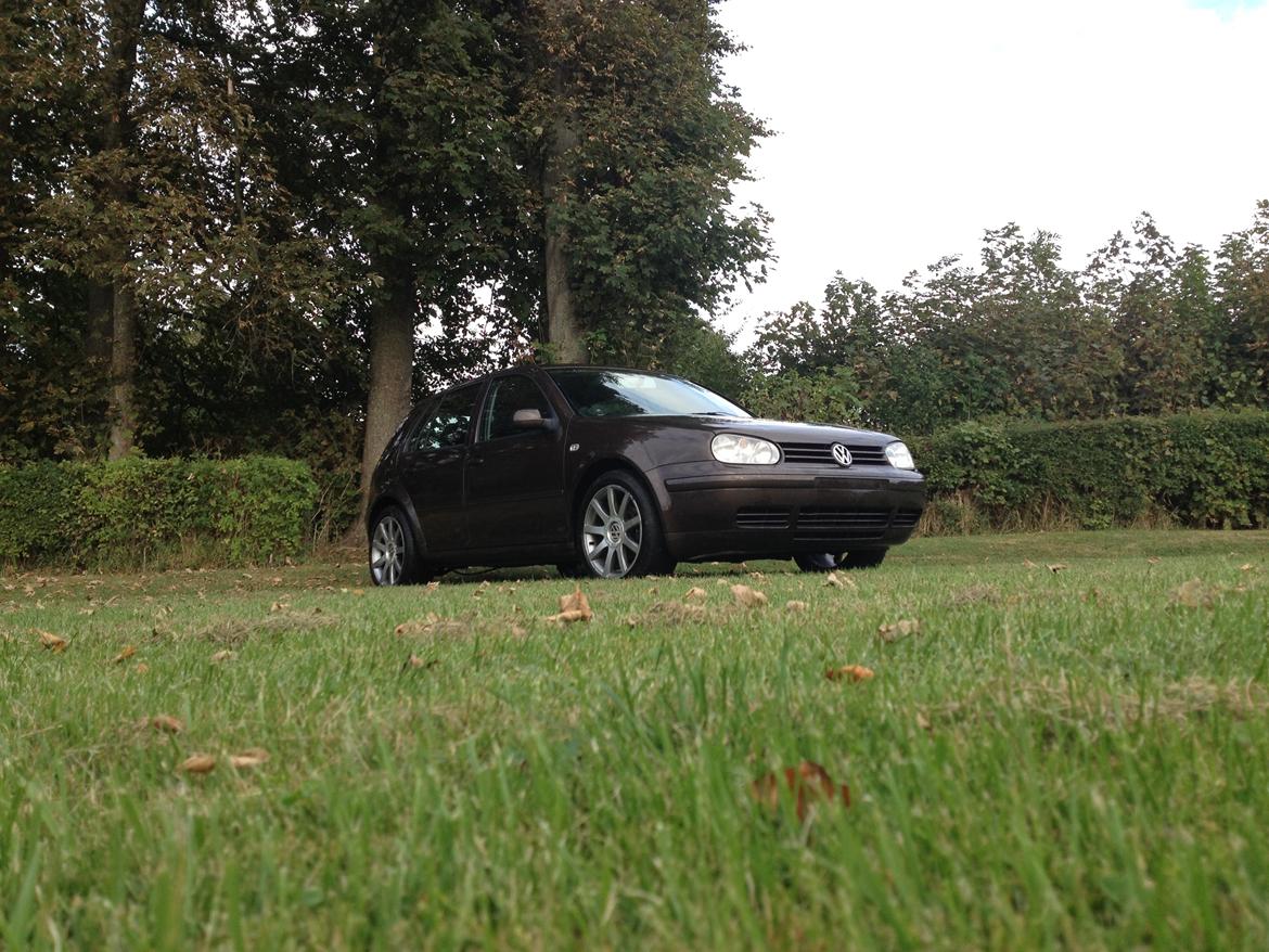 VW Golf 4 1,9 TDI ( Solgt )  billede 6