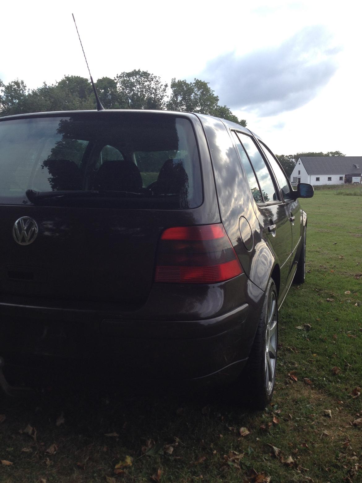 VW Golf 4 1,9 TDI ( Solgt )  billede 12