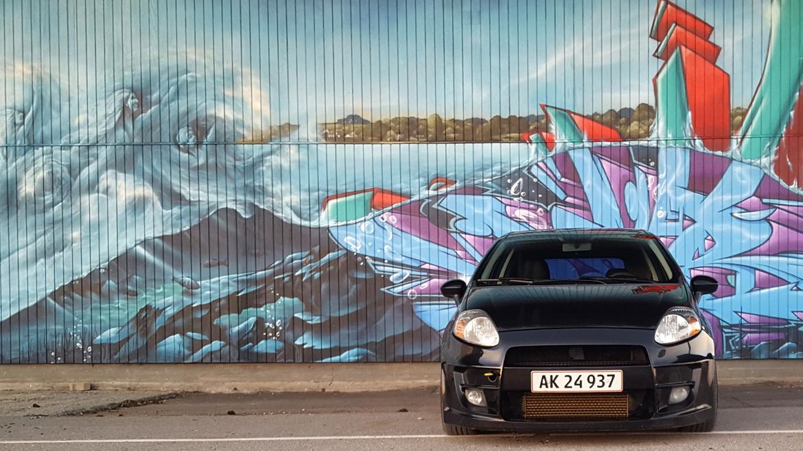 Fiat Grande Punto 1,9JTD 130Sport  billede 15