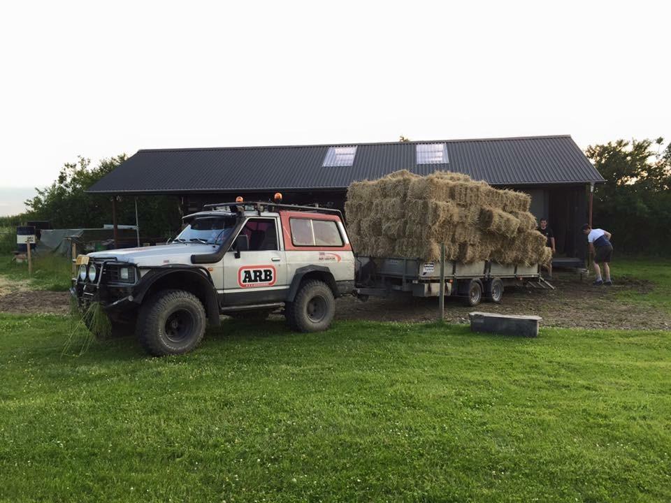 Nissan Patrol 3,3 billede 19